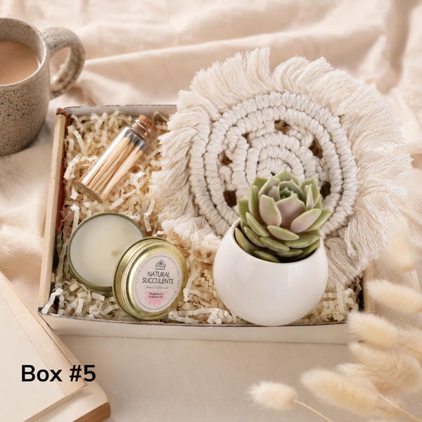 New Job Gift, Congratulations Gift, Way to Grow, Job Promotion Gift, Co-worker Gift box, Live Succulent Gift, Congrats, Succulents gift box