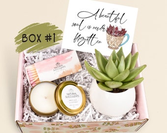 A beautiful soul is never forgotten - Succulent Gift Box - Sympathy gift box - Memorial Gift  - Encouragement Care Package - gift (XFD5)