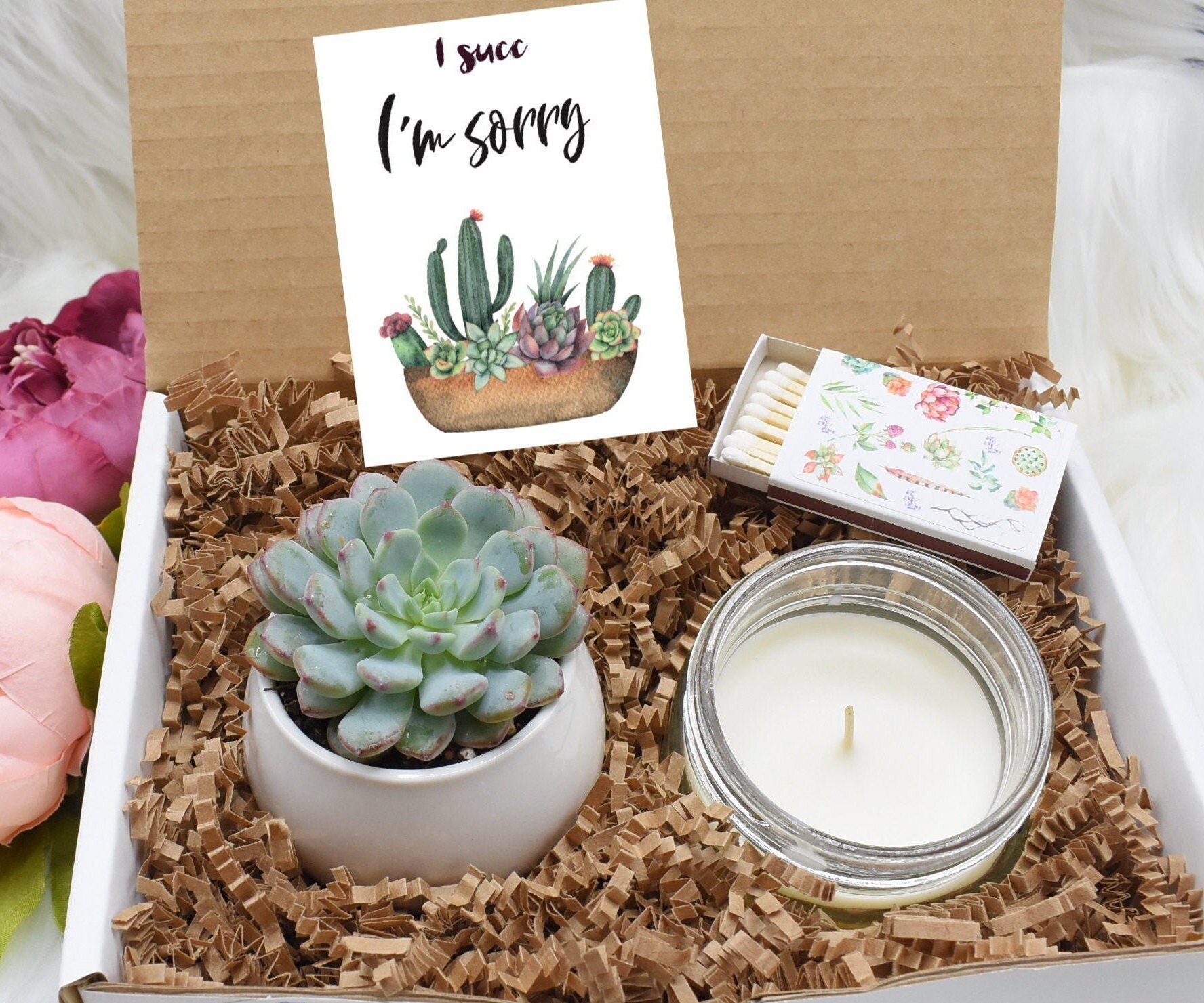 I Succ I M Sorry Succulent Apology Gift Box Sunshine Etsy I Succ I M Sorry Succulent Apology Gift Box Sunshine Etsy