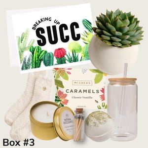 Breaking Up Succs Gift Box - Succulent Gift Box - Divorce Gift - Cheer Up Sunshine Box - Thinking of you - Break Up Gift for Friend  (XFB1)