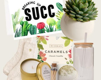 Breaking Up Succs Gift Box - Succulent Gift Box - Divorce Gift - Cheer Up Sunshine Box - Thinking of you - Break Up Gift for Friend  (XFB1)