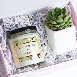 Thank You Succulent Gift Box - Appreciation Gift - Send a Gift - Succulent Care Package - Live Succulent - Soy Candle - Gift Box (XWGG)