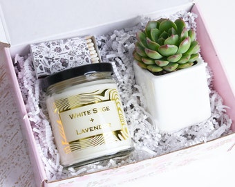 Sending You Sunshine Succulent Gift Box Live Succulent Gift - Friendship Gift - Thinking of You Gift - Send a Gift - Care Package Set (XWGG)