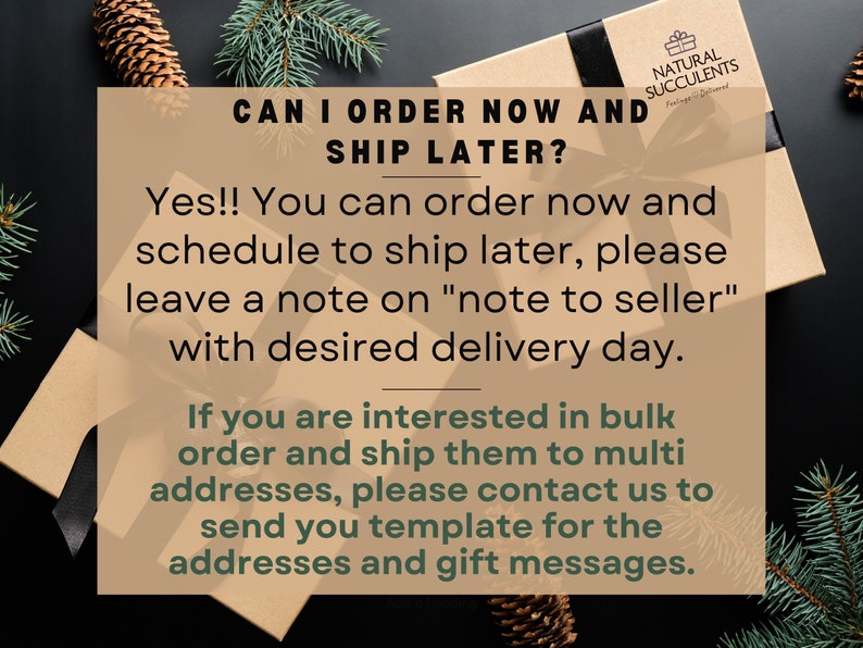 Puede incluir: Una caja de regalo con una cinta negra y el texto "NATURAL SUCCULENTS". Se muestra el texto "CAN I ORDER NOW AND SHIP LATER?", junto con instrucciones para pedir y enviar. Hay agujas de pino y una pi&ntilde;a en el fondo.