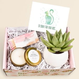 Pet Sympathy Gift - Loss of Cat - Cat Loss Sympathy Gift - Sorry For Your Loss - Pet Sympathy Gift - Pet Memorial - Gift Box (XFE3)