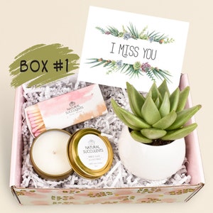 Friendship gift box Best Friend Gift Send a Gift Gift for Her Gift For Him Boyfriend Gift Miss you gift Succulents XFA2 image 2