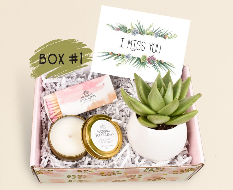 Friendship gift box Best Friend Gift Send a Gift Gift for Her Gift For Him Boyfriend Gift Miss you gift Succulents XFA2 image 2