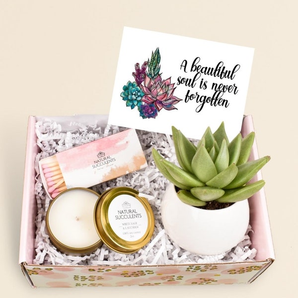 Natural Succulents Sympathy Gift - Thinking of you - Succulent Gift Box - Sorry For Your Loss - A Beautiful Soul Is Never Forgotten (XBS6)