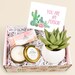 CARE PACKAGE - You're My Person - Live Succulent - Bestie Gift- Birthday Gift - Miss you Gift - Soy Wax - Send A gift - Succulents (XFA7) 