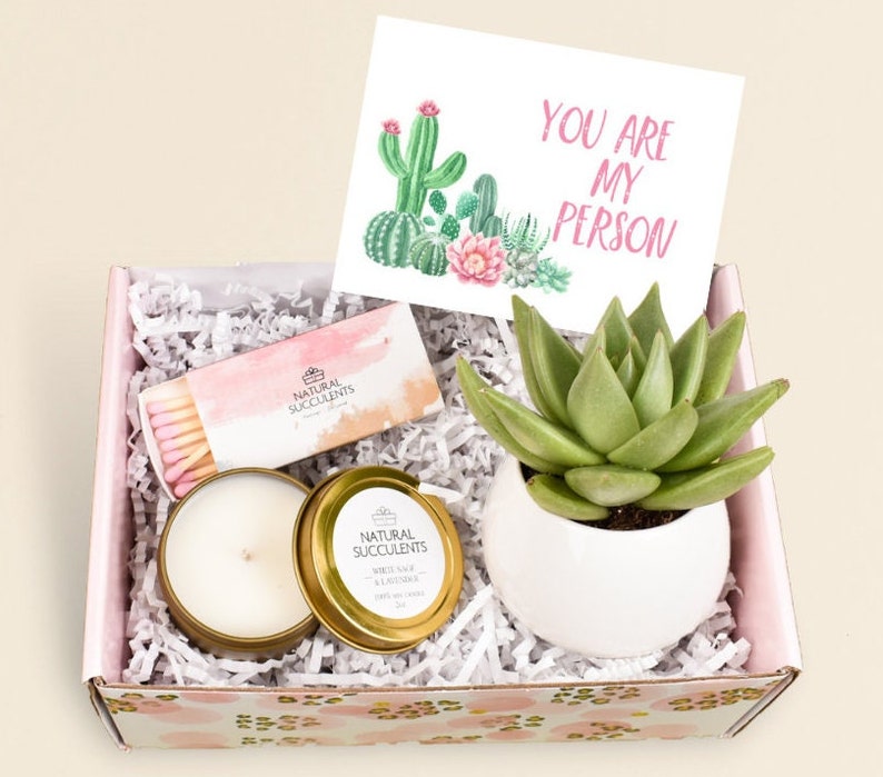 CARE PACKAGE - You're My Person - Live Succulent - Bestie Gift- Birthday Gift - Miss you Gift - Soy Wax - Send A gift - Succulents (XFA7) 