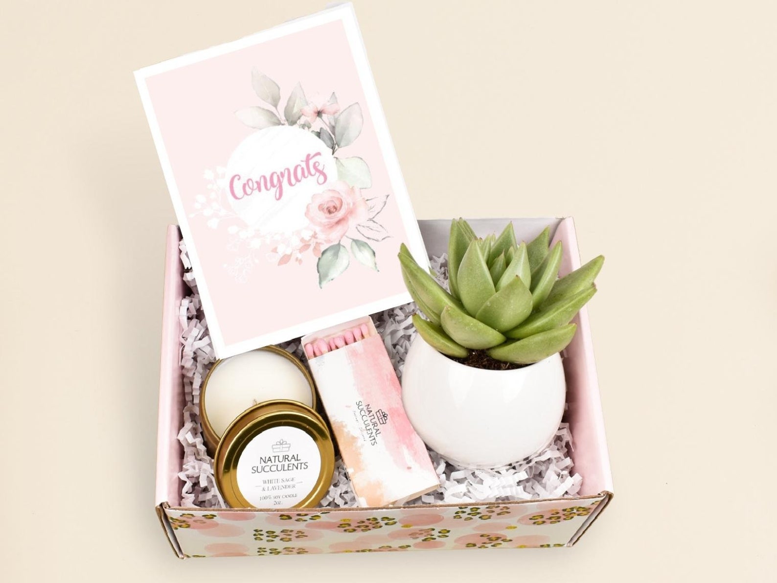 Congratulations Congratulations Gift Idea Live Succulent Etsy