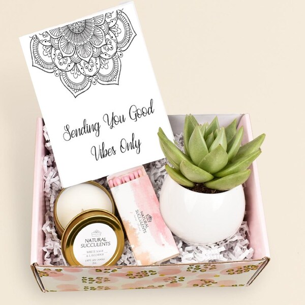 Good Vibes Gift Box - Succulent Gift Box - Live Succulent gift box - Friend Gift  - Good Vibes Only - Birthday Present - Send a Gift (XBG4)