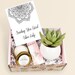 Good Vibes Gift Box - Succulent Gift Box - Live Succulent gift box - Friend Gift  - Good Vibes Only - Birthday Present - Send a Gift (XBG4) 