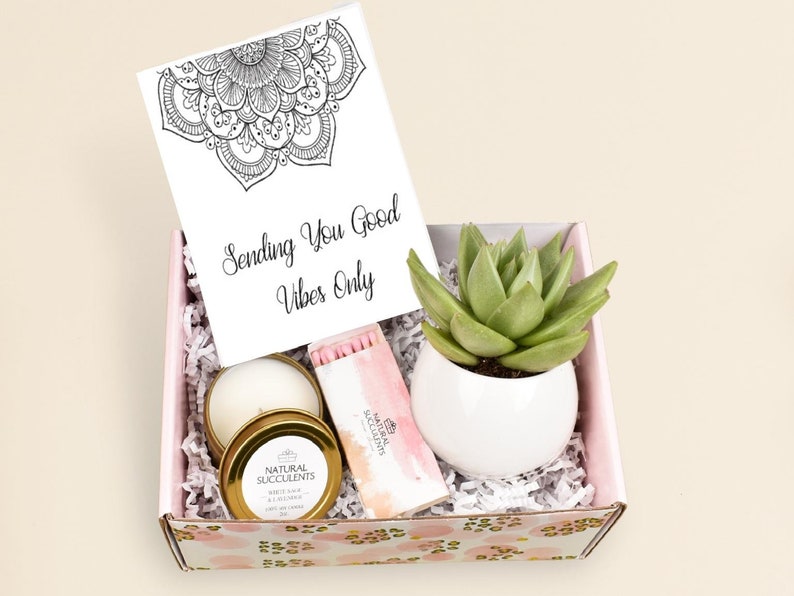 Good Vibes Gift Box - Succulent Gift Box - Live Succulent gift box - Friend Gift  - Good Vibes Only - Birthday Present - Send a Gift (XBG4) 