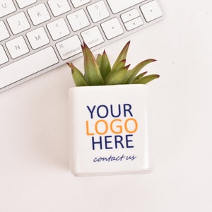 May include: White ceramic planter with a succulent plant. The planter has the text "YOUR LOGO HERE" and "contact us" printed on it.