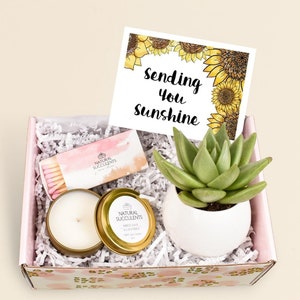 Sending You Sunshine Succulent Gift Box - Live Succulent Gift - Friendship Gift - Thinking of You Gift - Send a Gift - Care Package (XBM2)