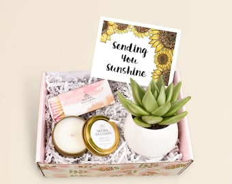 Sending You Sunshine Succulent Gift Box - Live Succulent Gift - Friendship Gift - Thinking of You Gift - Send a Gift - Care Package (XBM2)