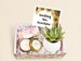 Sending You Sunshine Succulent Gift Box - Live Succulent Gift - Friendship Gift - Thinking of You Gift - Send a Gift - Care Package (XBM2)