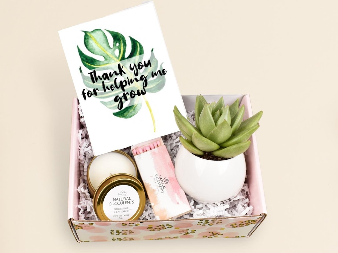 Thank You for Helping Me Grow Corporate Gifts Coworker Gift Thank You Gift  Ideas Live Succulent Gift Box Gift Co-workers XBC7 -  Canada