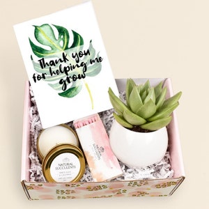 Thank you for helping me grow - Corporate Gifts - Coworker Gift - Thank You Gift Ideas - Live Succulent Gift Box - Gift Co-Workers (XBC7)