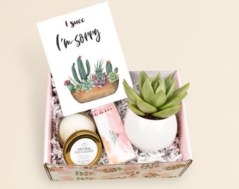 I succ I'm sorry Succulent - Apology Gift Box - Sunshine gift - Regrets gift -  I'm sorry Gift - Apology - Apology Gift Ideas - (XBE3)