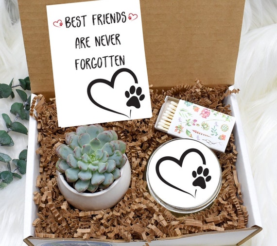 Custom Pet Sympathy Gift Pet Sympathy Gift Pet Loss Gift Etsy
