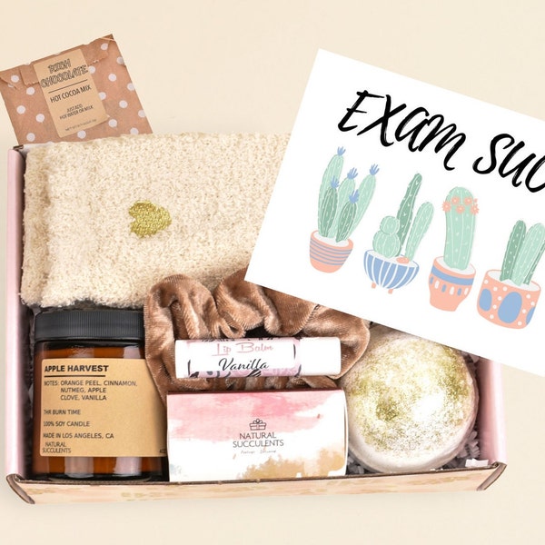 FINAL EXAMS Gift Box - Exam Care Package - Gift For Student - College Gift Ideas - Good Luck On Exams - Exam Season - Finals Midterms (XAD8)