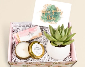 You Got This Gift Box, Encouragement Gift, Succulent Gift Box, Encouragement Gift, Cheer Up, Get Well, Cheer Up Gift Box (XFG1)