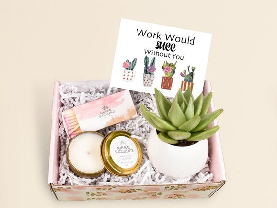 Vegan Gifts Under $30: Stocking Stuffers and Coworker Gifts - THE