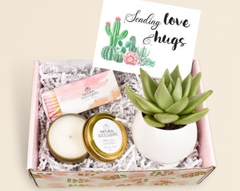 Care Package For Friend - Care Package - Care Package For Her - Thinking Of You - Thinking Of You Gift - Natural Succulents (XFA4)