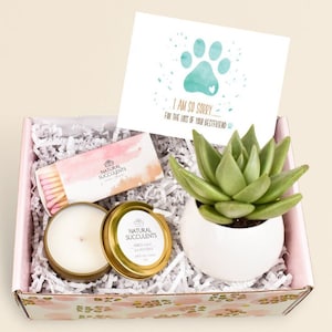 Pet Sympathy Gift - Pet Loss Gift - Pet Memorial - Dog memorial - Succulent Sympathy Gift - Sorry Gift - Succulent Gift - sympathy (XFF4)