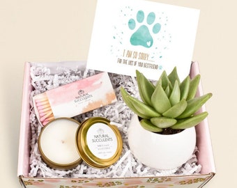 Pet Sympathy Gift - Pet Loss Gift - Pet Memorial - Dog memorial - Succulent Sympathy Gift - Sorry Gift - Succulent Gift - sympathy (XFF4)