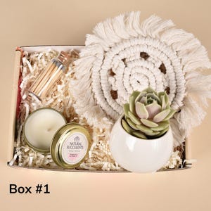Corporate Gift - Work Would Succ Without You - Custom Coworker Gift - Coworker Gift Ideas - Retirement Gift - Corporate - Succulents (XFB7)