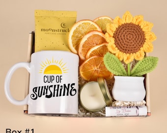 Sunshine Care Package, Hug In A Box, Encouragement Gift, Sunshine Box, Thinking of You, Sending Cheer, Get Well Soon Basket Women