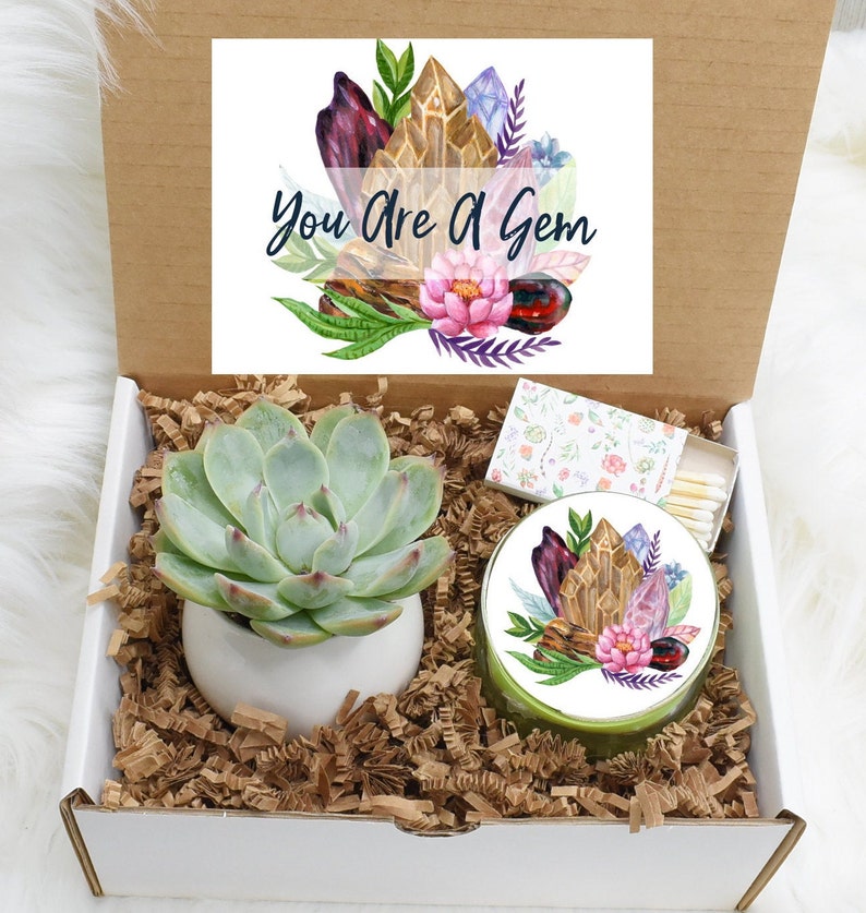 Friendship Succulent Gift Box You Are a Gem Succulent Gift