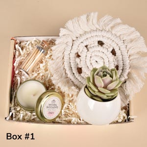 New Job Gift, Congratulations Gift, Way to Grow, Job Promotion Gift, Co-worker Gift box, Live Succulent Gift, Congrats, Succulents (XFB6)