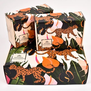 May include: Three boxes with a tropical jungle print featuring leopards and large green leaves. The boxes are stacked on top of each other and have the text "Natural Succulents" printed on them.
