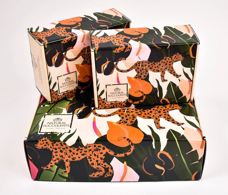 May include: Three boxes with a tropical jungle print featuring leopards and large green leaves. The boxes are stacked on top of each other and have the text "Natural Succulents" printed on them.