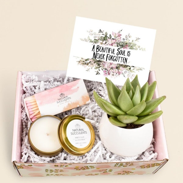 Succulent Gift Box - A Beautiful Soul is Never - Sympathy Gift - Sorry For Your Loss - Sympathy Box - Sympathy Gift Set - (XBM9)