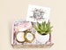 Succulent Gift Box - A Beautiful Soul is Never - Sympathy Gift - Sorry For Your Loss - Sympathy Box - Sympathy Gift Set - (XBM9) 