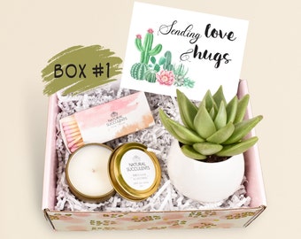 Sending Love And Hugs - Surgery Gift - Surgery Care Package For Her - Surgery Care Package- Surgery Gift Box- Soy candle- Succulents (XFA4)