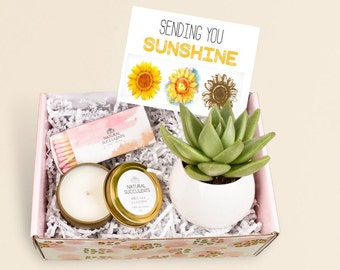 Sending You Sunshine Succulent Gift Box - Live Succulent Gift - Friendship Gift - Thinking of You Gift - Care Package - Succulents (XFJ7)