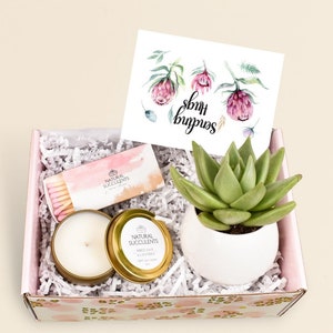 Sending Hugs - Missing You Gift - Miss You Gifts - Miss You Care Package - Succulent Gift- Send A Gift -  Natural Succulents (XBQ7)