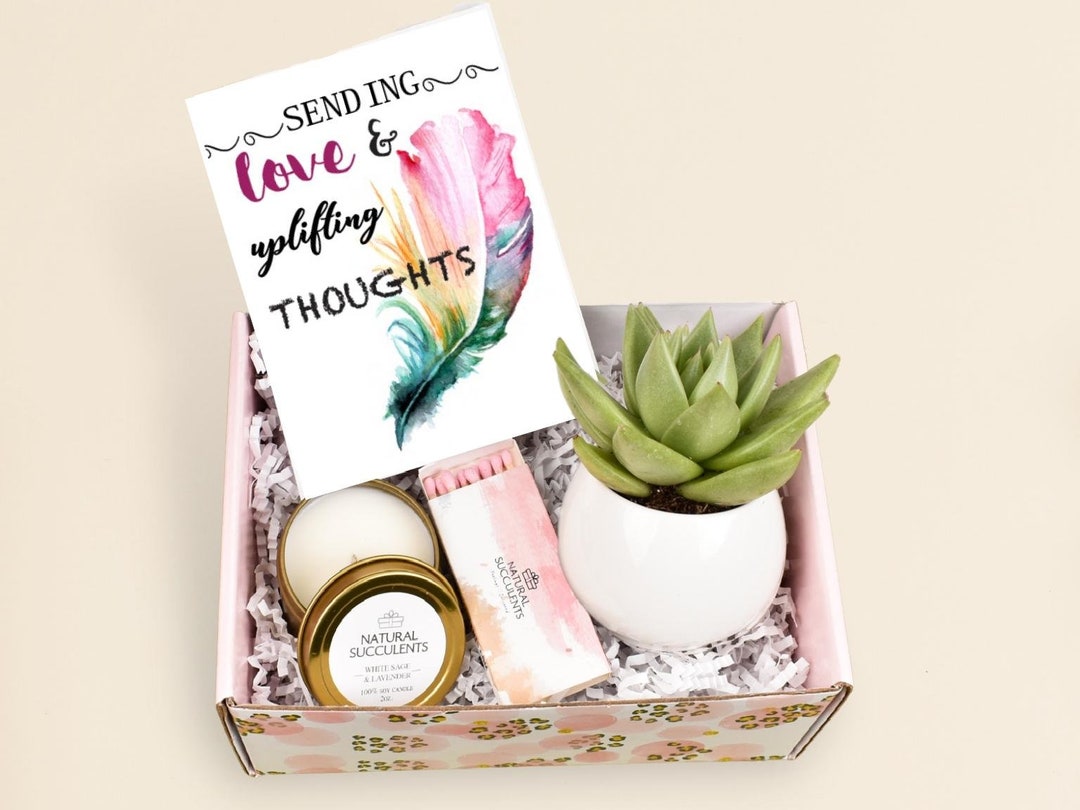 Healing Vibes Succulent Gift Box, Care Package for Her Get Well