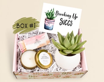 good thinking of you gifts for him Breaking Up Succs Gift Box - Succulent Gift Box - Divorce Gift - Cheer Up Sunshine Box - Thinking of you - Break Up Gift for Friend (XFB1)