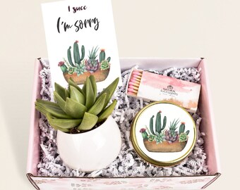Apology Gift Etsy Apology Gift Etsy