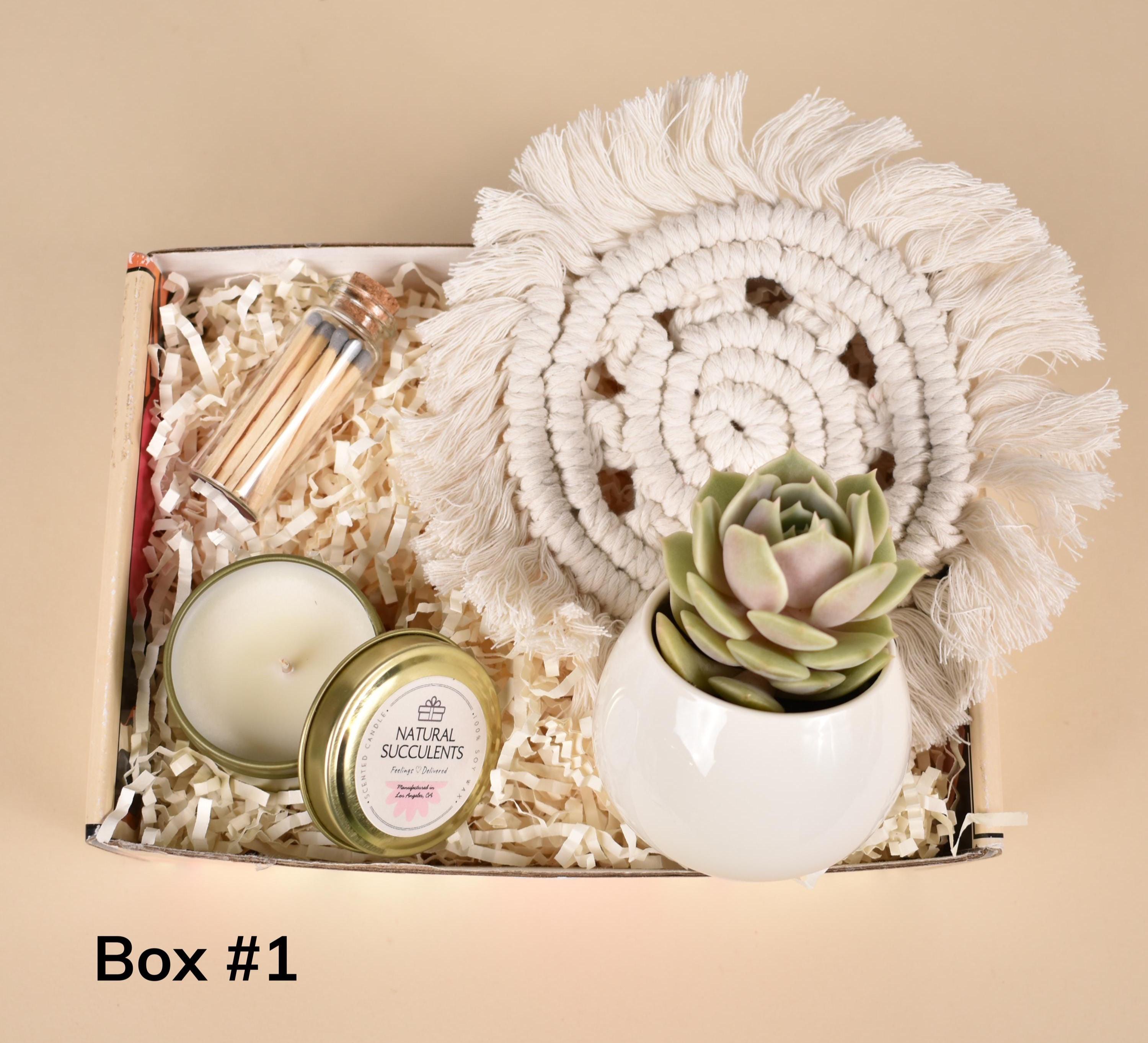 Congratulations Gift Set For Promotion, Congrats On Your Success, New Job Gift, Achievement Hire Good Luck