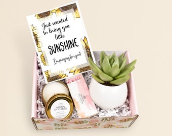 Sunshine Gift Box - Get Well Gift - Sending You Sunshine Succulent Gift - Succulent Gift - Thinking of You Gift - Care Package -(XBI4)