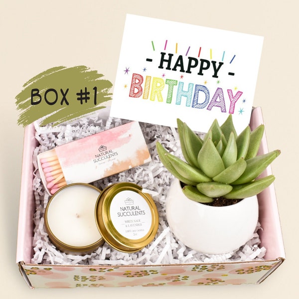 Happy Birthday Gift Box, Candle Gift Box, Succulent Gift Box, Friendship Gift, Birthday Gift Box, Gift for Her, Birthday Care package (XFC4)
