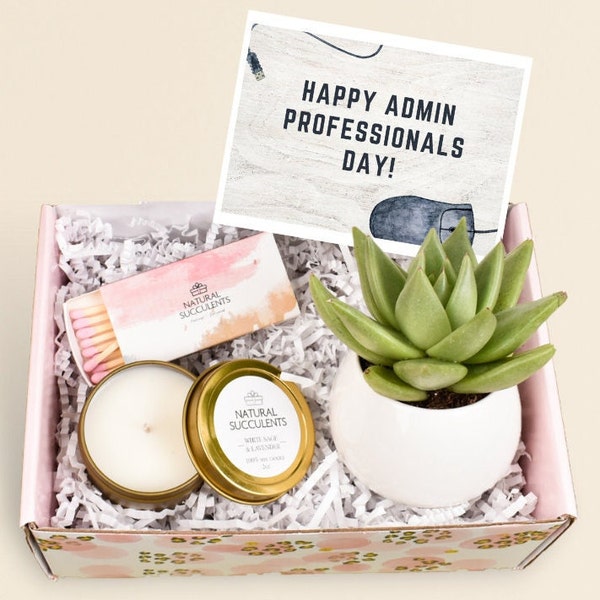 Gift for Admin Day - Administrative Professional Appreciation Succulent Gift Box - Corporate Gift Ideas - Secretary Appreciation Gift (XFO5)